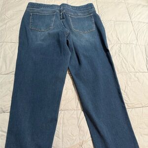 Soft Surroundings Blue Denim Jeans size XL